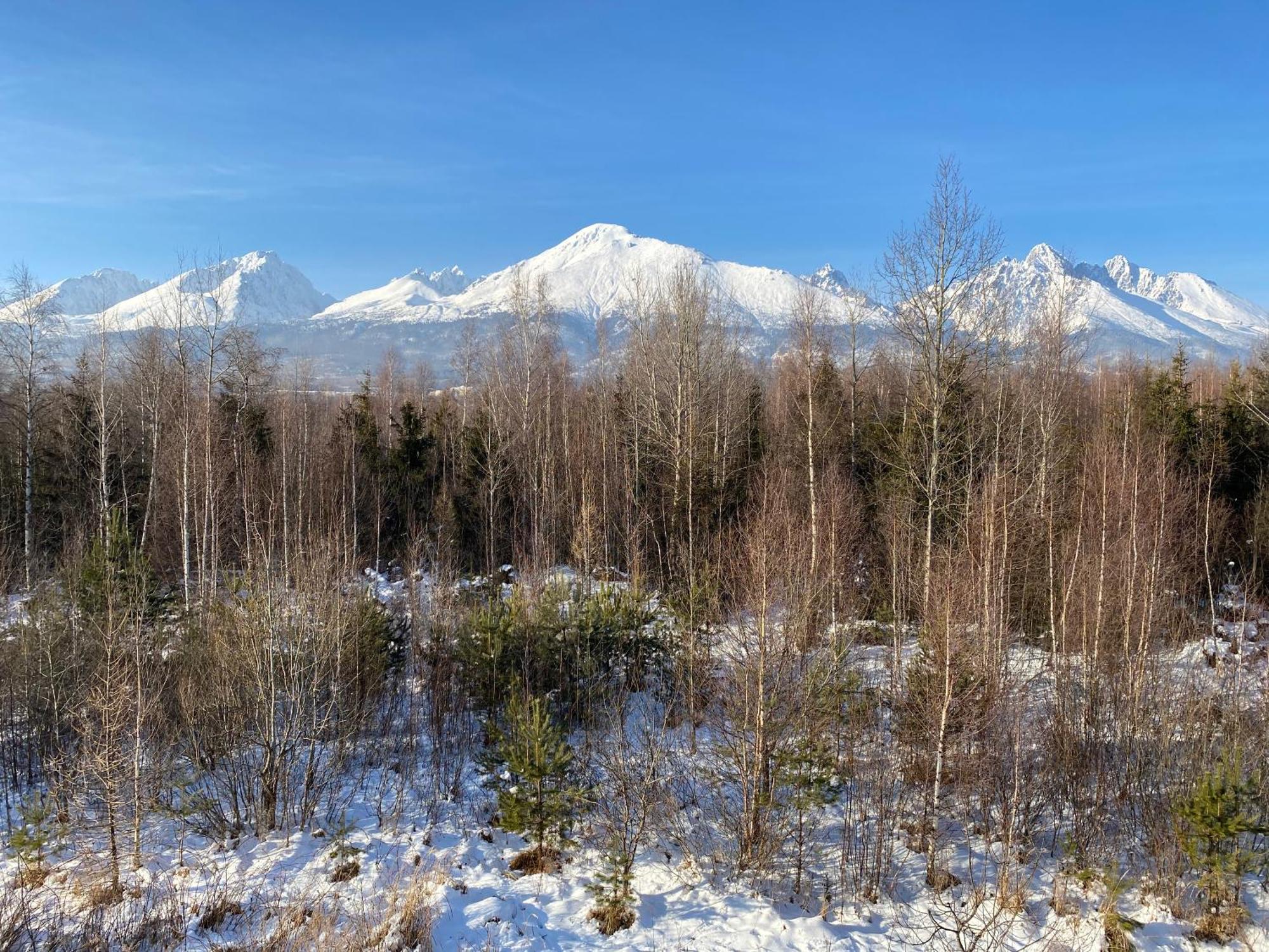 Apartman S Nadhernym Vyhladom Na Tatry Veľký Slavkov Esterno foto